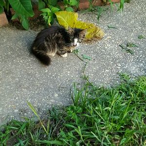 Meet your Posher, Sue