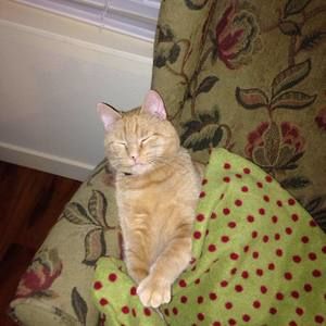 Meet your Posher, Sherry