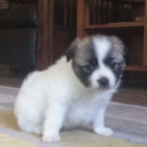 Meet your Posher, Mckenna