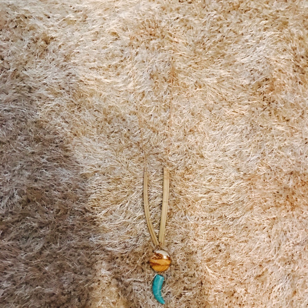 Blue Horn Necklace