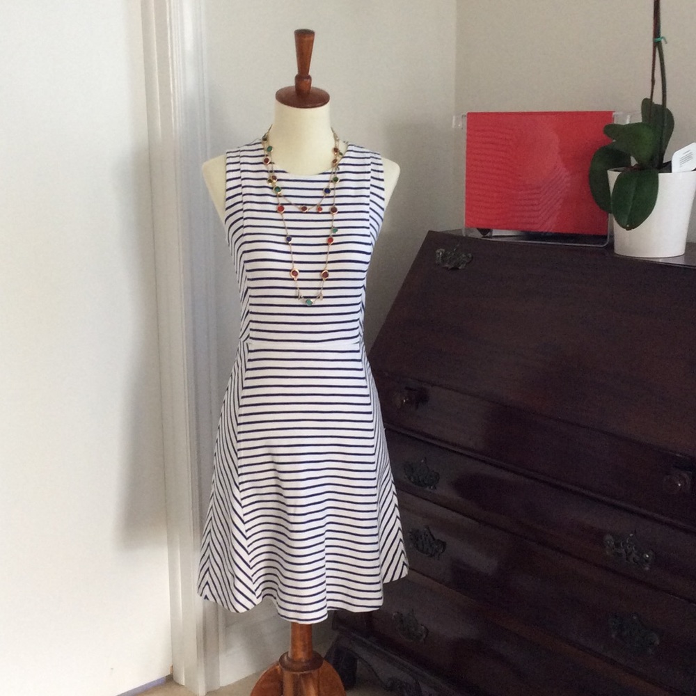 J. Crew Blue and White Striped Dress 00