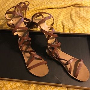 Express brown gladiator sandals