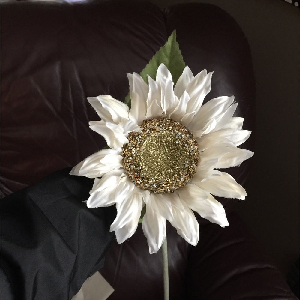 Meet your Posher, Alisha