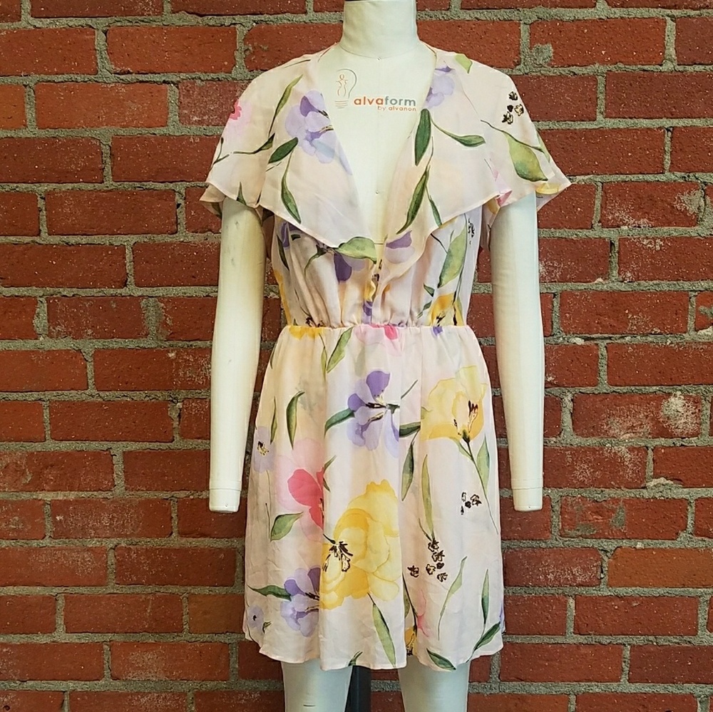 Reformation Mini Floral Print Dress