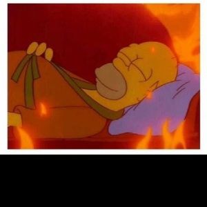 Meet your Posher, Lee