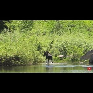 It's a picture frame