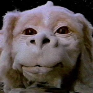 Meet your Posher, Patrick