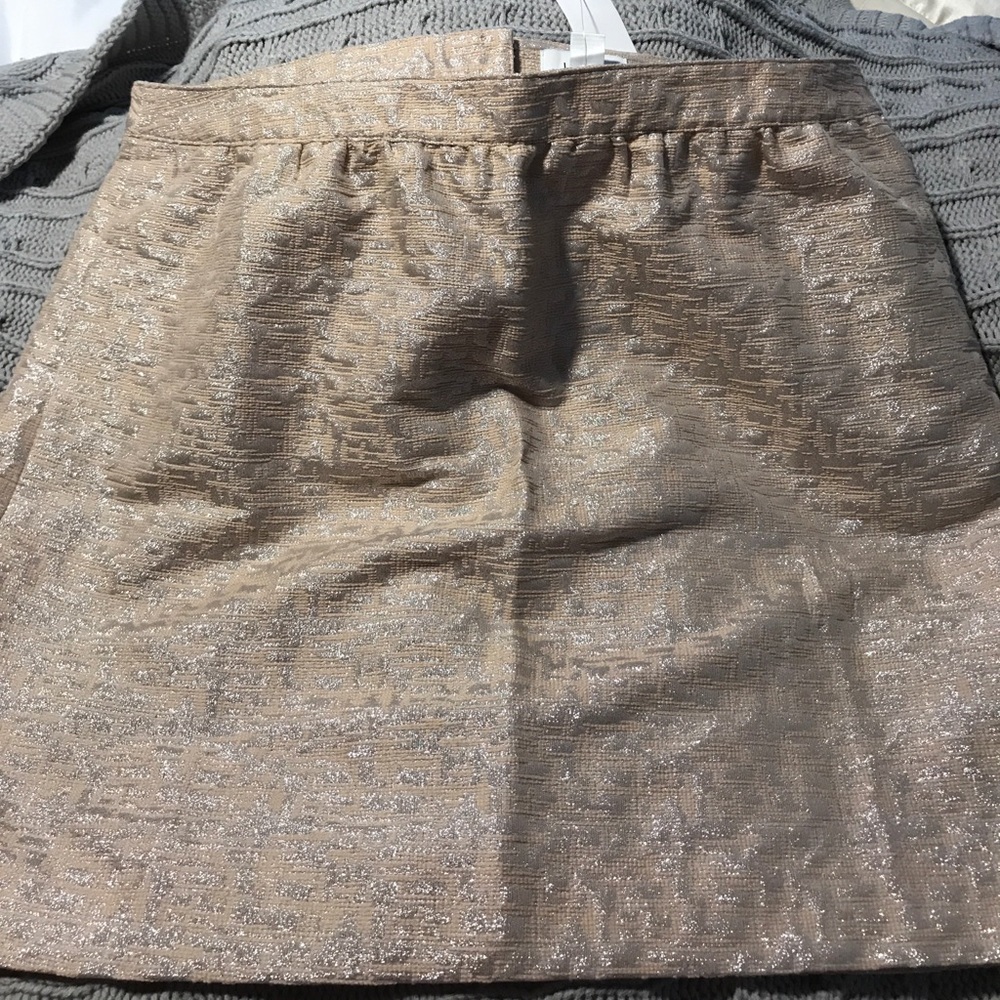 Brand new cute Loft skirt