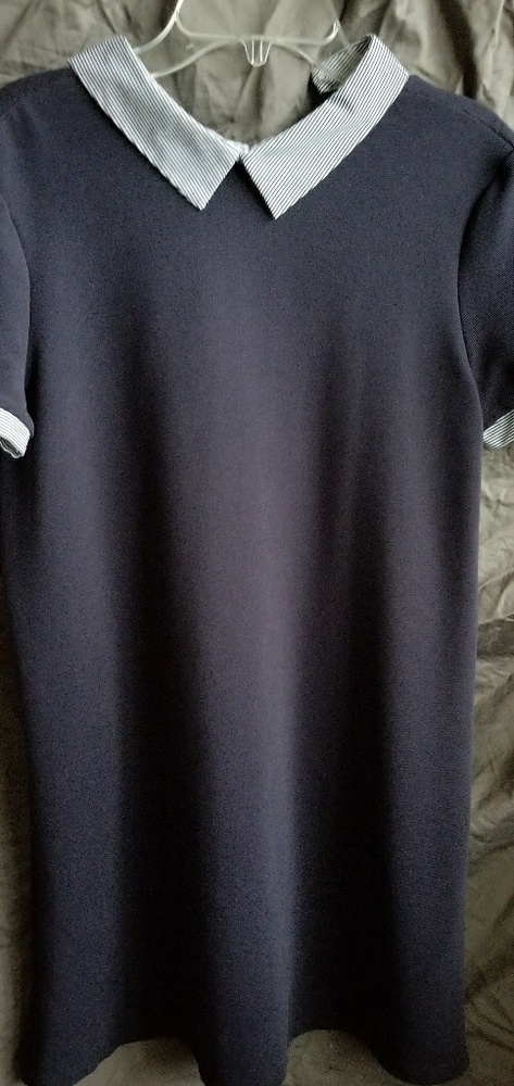 ZARA Straight Line Dress