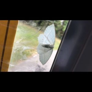 Meet your Posher, Jhon