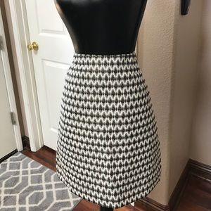 Express High Waisted Skirt