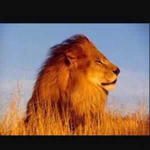 Meet your Posher, Ian