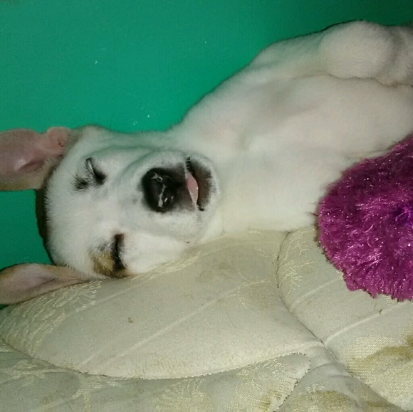 Meet your Posher, Bethany - Picture 1 of 1