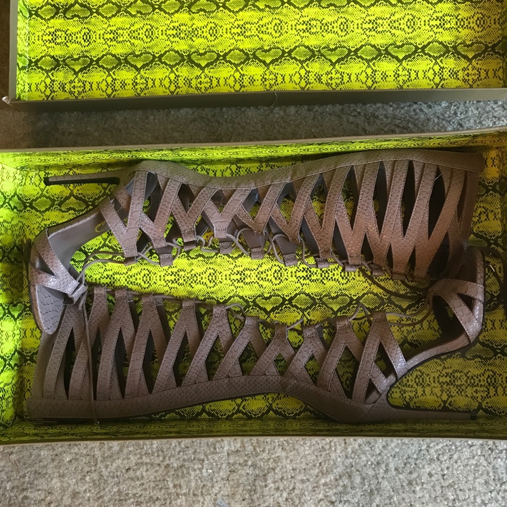 Knee High Brown Snake Skin Lace Up Heels