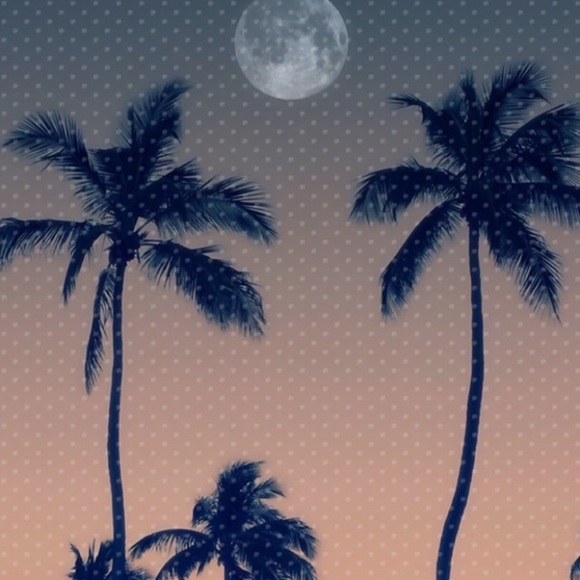 Meet your Posher, Kyleigh - Picture 1 of 1