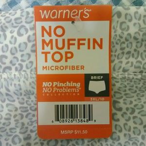 Warner's Intimates & Sleepwear - No Pinching No Muffin Top Plus Size Panties Warner's Intimates & Sleepwear - No Pinching No Muffin Top Plus Size Panties