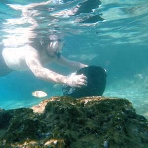 Meet your Posher, John william