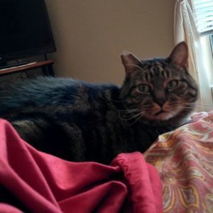 Meet your Posher, Kurina