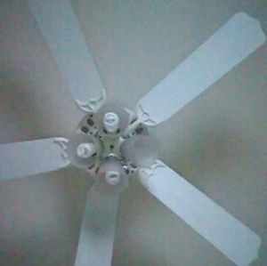 Meet your Posher, Tamica