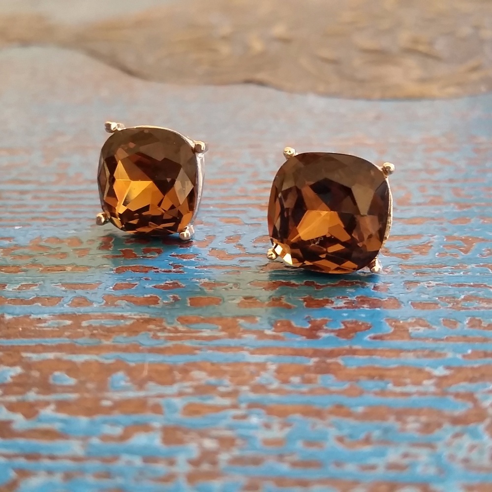 Large Brown Jeweled Studs