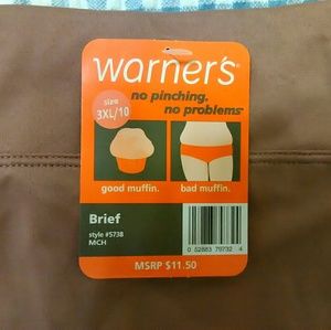 Warner's Intimates & Sleepwear - No Pinching No Muffin Top Plus Size Panties Warner's Intimates & Sleepwear - No Pinching No Muffin Top Plus Size Panties
