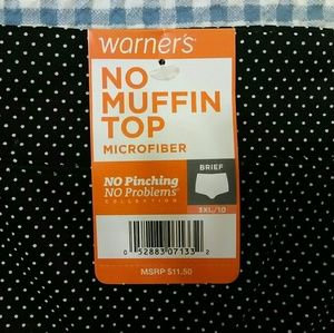 Warner's Intimates & Sleepwear - No Pinching No Muffin Top Plus Size Panties Warner's Intimates & Sleepwear - No Pinching No Muffin Top Plus Size Panties