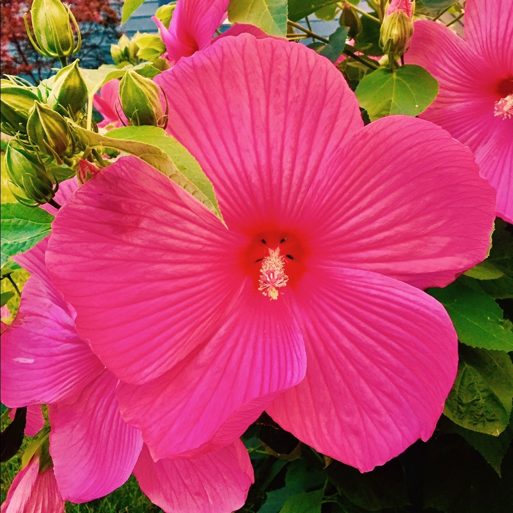 Meet your Posher, Sara