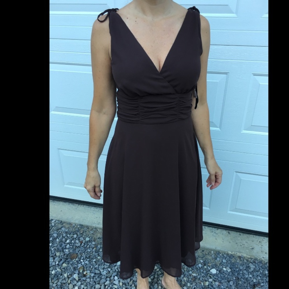 Beautiful Brown Dress Barn Dress