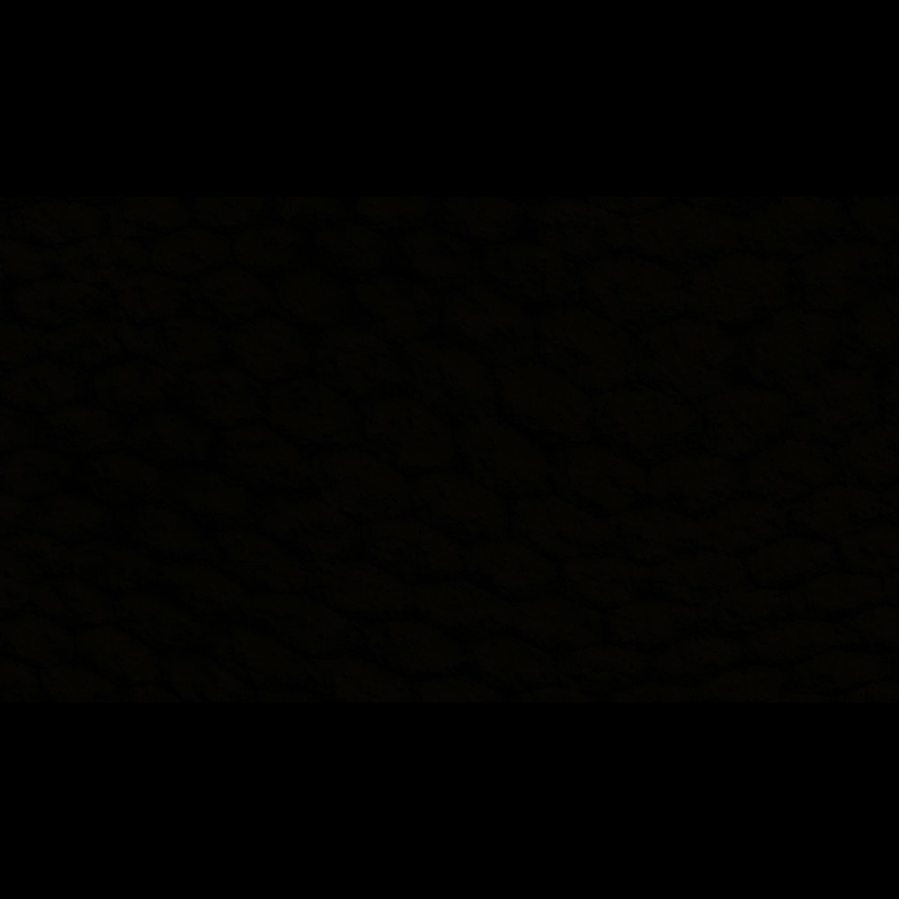 Meet your Posher, Ndidi