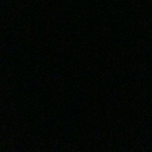 Meet your Posher, Brady