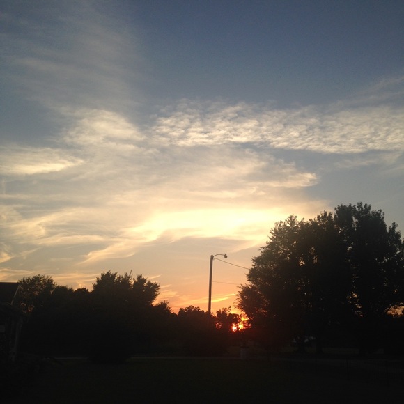 Meet your Posher, Caroline - Picture 1 of 1