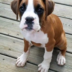 Meet your Posher, Mandy