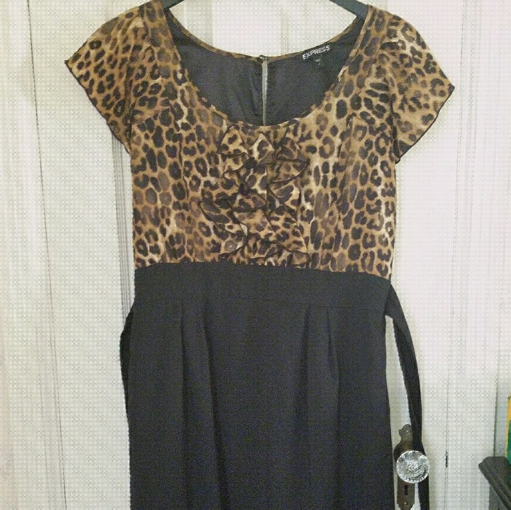 Leopard Print Dress