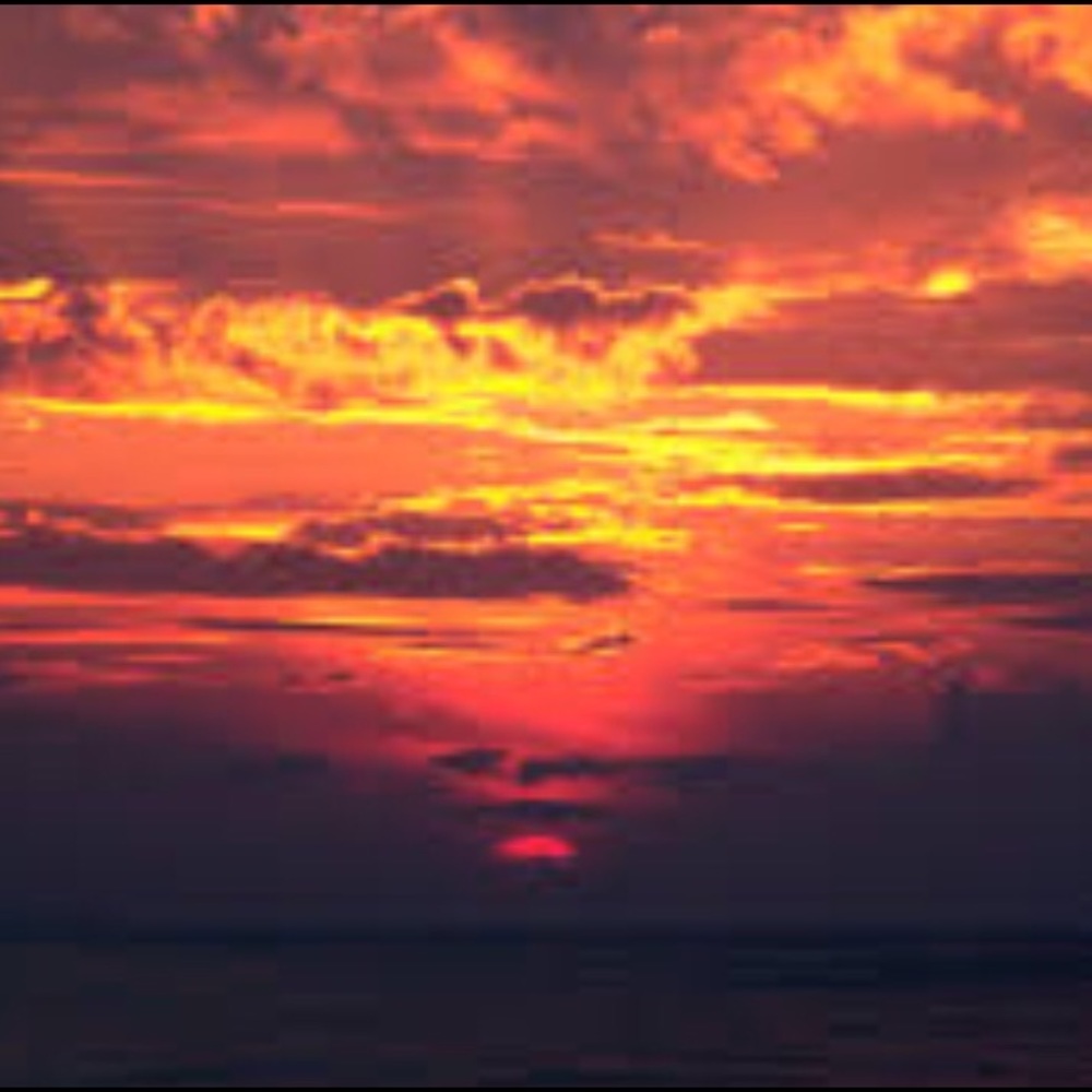 Meet your Posher, Isabella