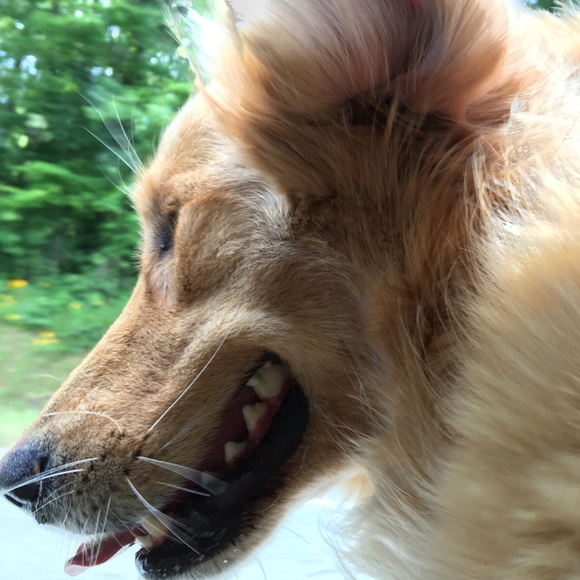 FINISHED Co-Hosting my first Party! THANK YOU ALL! - Picture 2 of 3