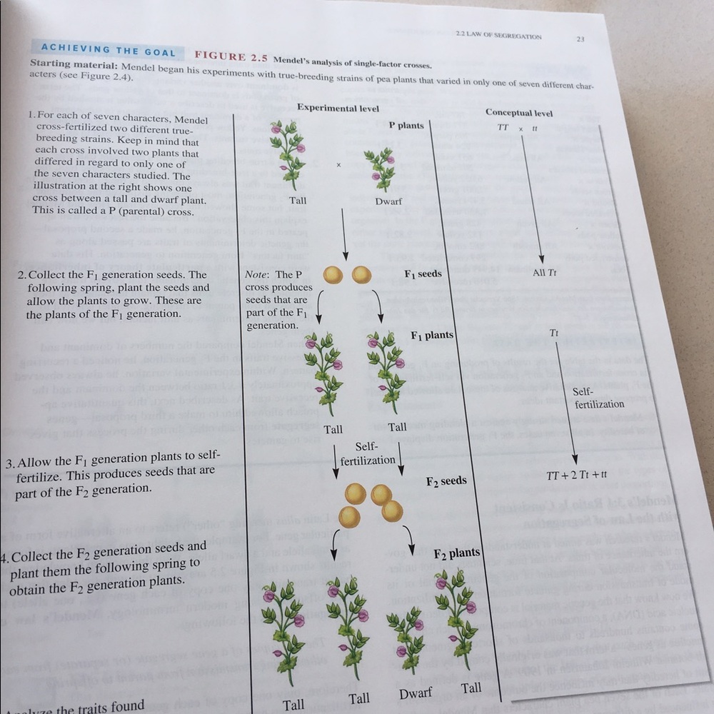 Meet your Posher, Abedin