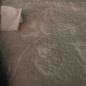 Meet your Posher, Roman