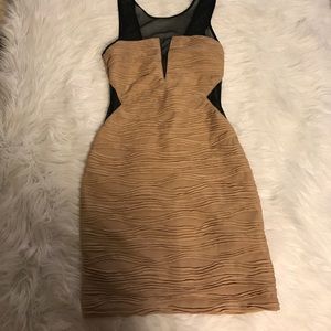 🎉Tan and Black Mesh Dress