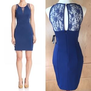 Guess Navy Blue Lace Inset Cocktail Dress