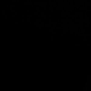 Meet your Posher, Destiny