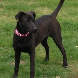 Meet your Posher, Darhlene