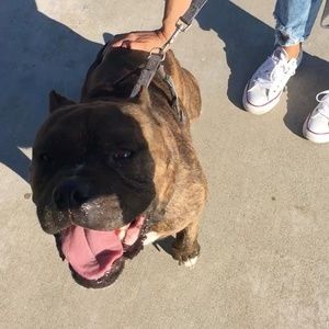 Meet your Posher, Jan-michael