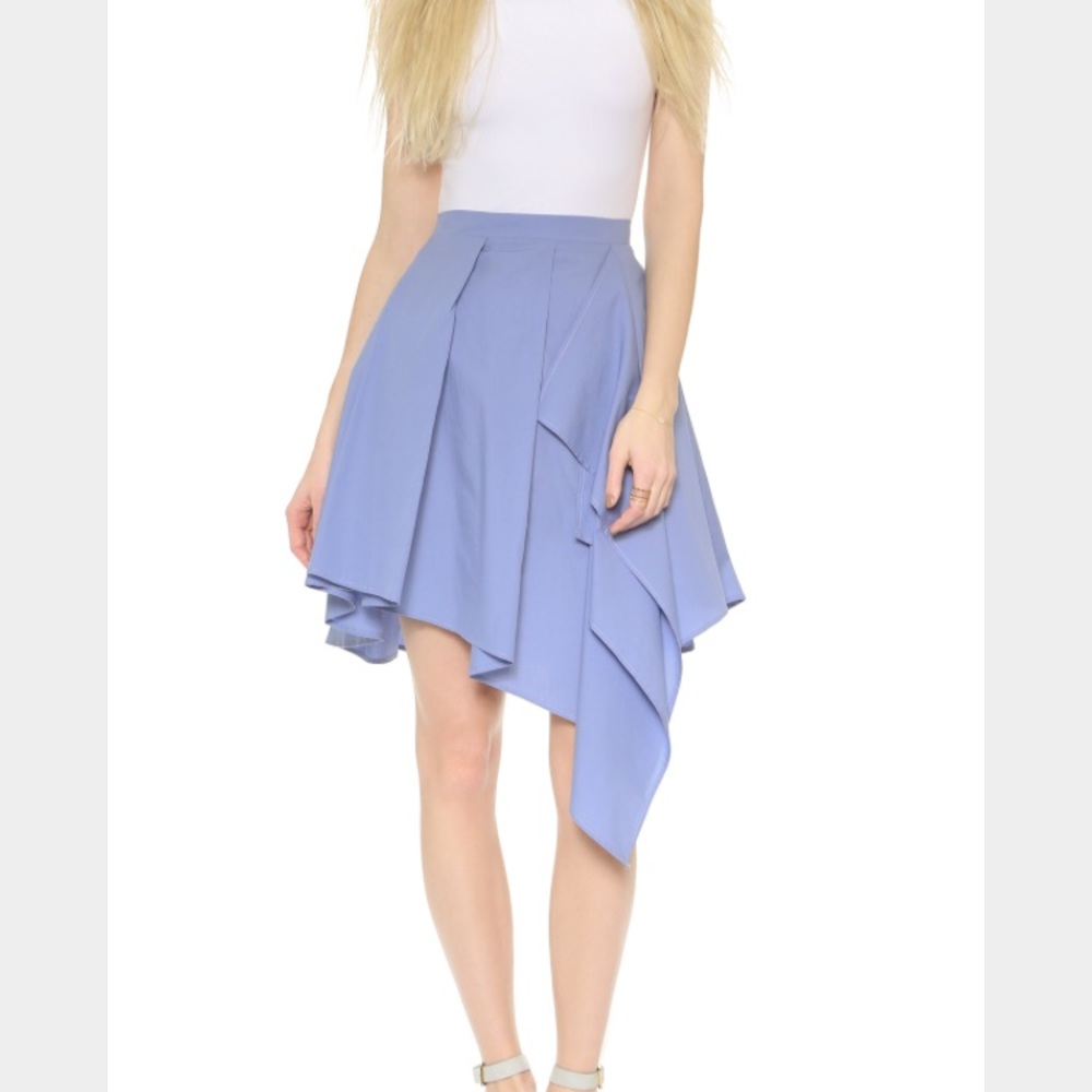 BNWT a.c.e. Rosy Poplin Skirt