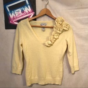 Banana Republic Yellow Rabbit VNeck Swtr XS A2154