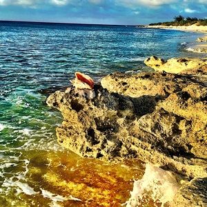 Meet your Posher, Morgan