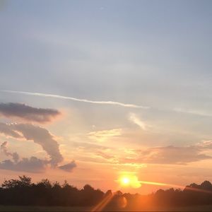 Meet your Posher, Lily