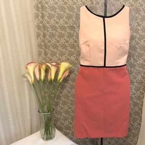 50% OFF❗️LOFT Blush and Coral Sheath Dress NWT