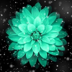 Meet your Posher, Madeline