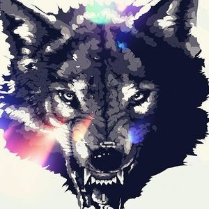 Meet your Posher, Bryce