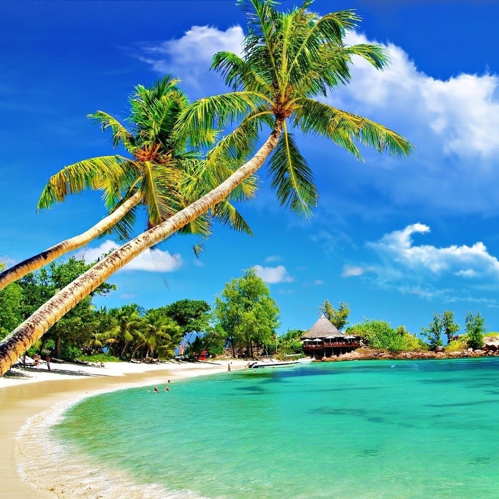 Meet your Posher, Olga